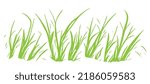 Green Grass Over White Background