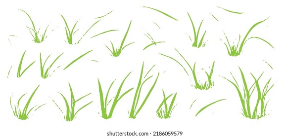 Grasa verde sobre fondo blanco