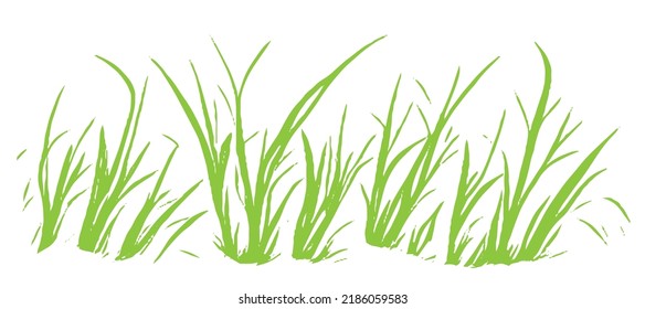 Grasa verde sobre fondo blanco