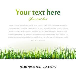 Green grass over white background