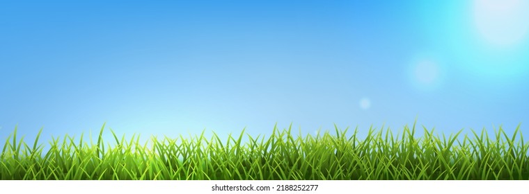 Green Grass Panorama With Blue Sky With Gradient Mash, Vector Illustration