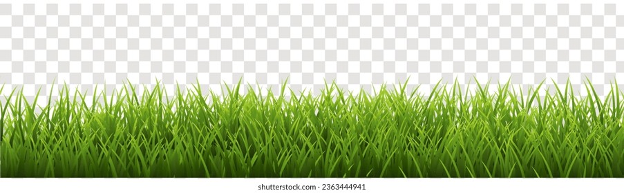 Green Grass Panorama Isolated Transparent Background , Vector Illustration