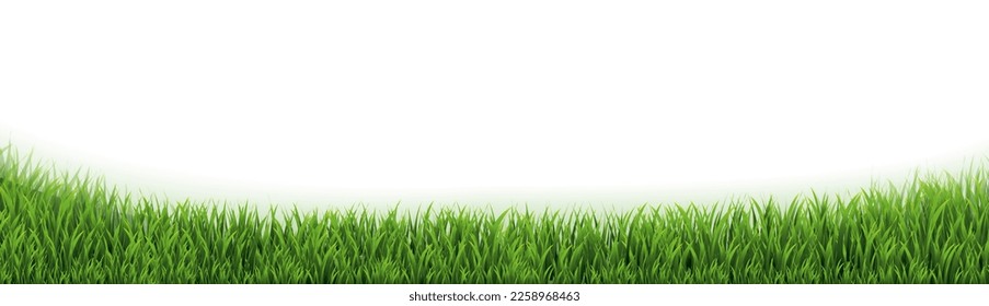 Green Grass Panorama Isolated White Background With Gradient Mesh, Vector Illustration