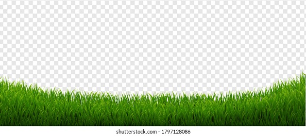 Grünes Graspanorama auf weißem Hintergrund mit Farbverlauf-Mesh, Vektorgrafik