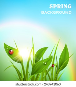 Green grass, plantain and ladybugs with sunrise and rainbow on blue sky. Floral nature spring background