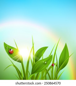 Green grass, plantain and ladybugs with sunrise and rainbow on blue sky. Floral nature spring background svg