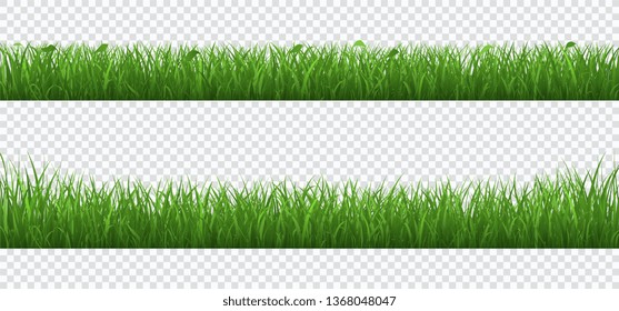 Green grass with plants border set isolated on transparent background.