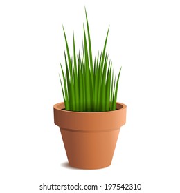 Green grass in a pot isolated on white background. Vector illustration