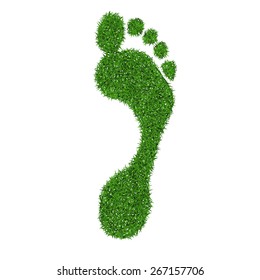 Green grass print of human foot, vector illustration.