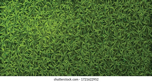 Green grass realistic top view spring lawn ground cover natural seamless pattern banner background vector illustration 