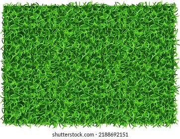 Green grass rectangle. Realistic lawn patch top view