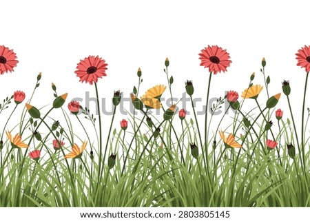 Green grass and red gerbera daisy flowers seamless border background, flat design floral meadow vector illustration, spring summer botanical lower frame pattern with copy space