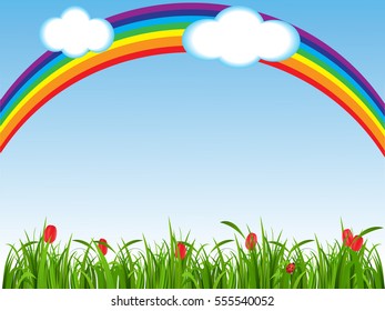 Green grass and red tulips on a blue background with a rainbow, clear spring day