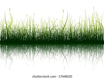 Green grass with reflection isolated on white - vector