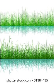 Green grass with reflection isolated on white - vector