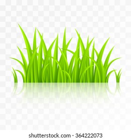 Green grass with reflection isolated on transparent background