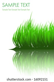 Green grass with reflection - vector illustration