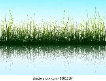 Green grass with reflection in water - retro vector