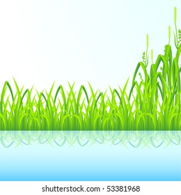 Green grass with reflection in water for your design