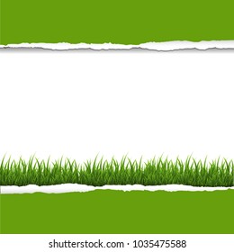 Grasa Verde Y Borde De Papel Despedazado Con Malla De Gradiente, Ilustración Vectorial