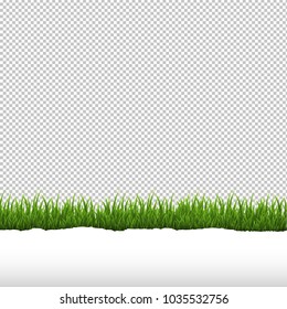 Green Grass And Ripped Paper Border White Background With Gradient Mesh, Vector Illustration