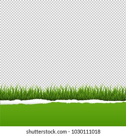 Green Grass And Ripped Paper Transparent Background With Gradient Mesh, Vector Illustration