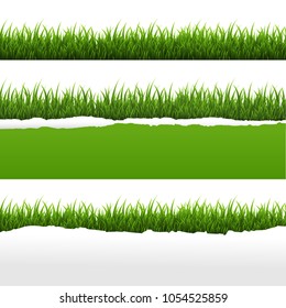 Green Grass And Ripped Paper White Background Set With Gradient Mesh, Vector Illustration