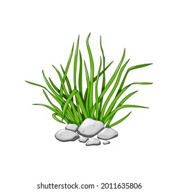 Green grass in the rocks. Cartoon vector illustration isolated on a white background.