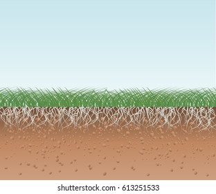 Green Grass With Roots And Soil. Vector Illustration Flat Design