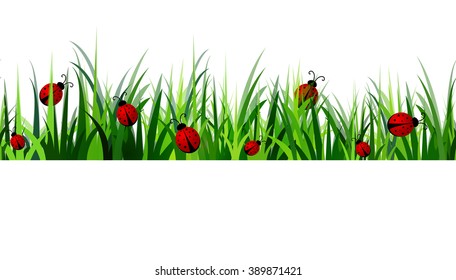  Green Grass seamless 