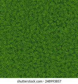 Green grass seamless background texture, vector illustration.