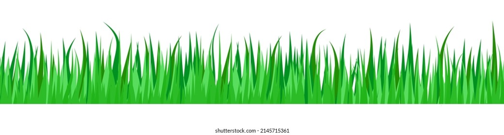 Green Grass seamless border. Seamless 3d line of green grass. Vector clipart isolated on white background.	