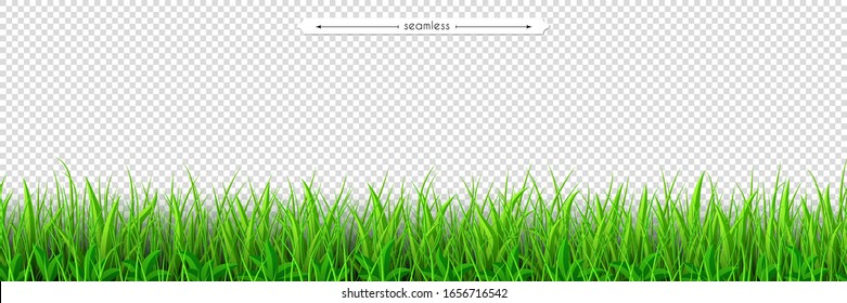 Green grass seamless border. Decoration element of summer spring and Easter design isolated on transparent background. Flat vector illustration of meadow grass