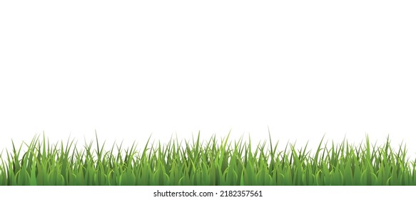 Green grass seamless border flat style, vector illustration on white background. Nature decorative design element, meadow or lawn, fresh organic plant