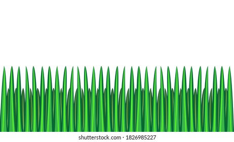 green grass seamless border, isolated over white, illustration