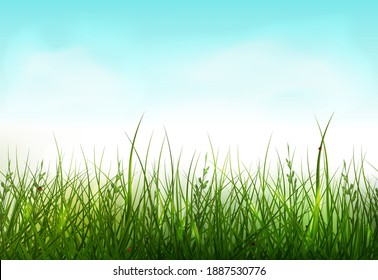 Green grass seamless border.  Spring background with grass and 
clouds in the blue sky. Nature Template for the spring, easter season, sale flyer.
