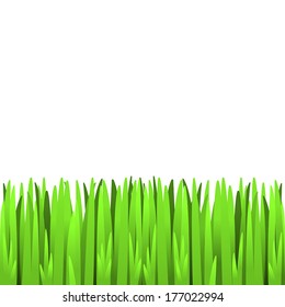 Green grass - seamless element for your design. EPS10 vector.