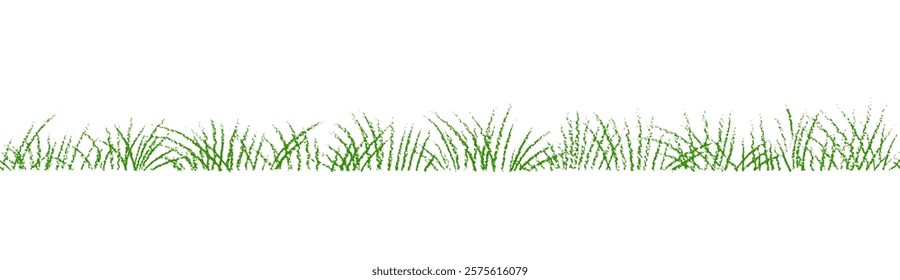 Green grass seamless patern. Vector hand drawn texture sketch. Wild field scribble illustration on a transparent background. Spring meadow. Summer lawn. Nature kids landscape