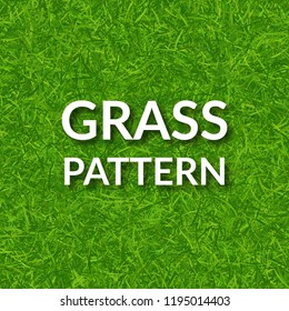 Green grass seamless pattern.