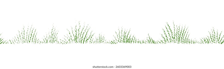 Green grass seamless pattern. Spring meadow. Summer lawn. Vector hand drawn texture sketch. Wild field scribble illustration on a transparent background. Nature kids landscape
