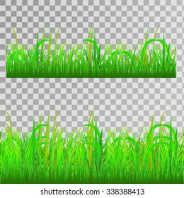 Green grass, seamless texture on transparent background, vector