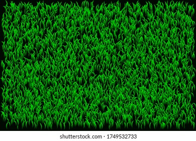 Grünes Gras nahtlose Textur - Sommerhintergrund. Vektornahtloses Muster mit Sommergras auf dem Boden. Helles Grüngras, endloses saisonales Sommermuster, zwei Farben. Abstraktes grünes Grasmuster
