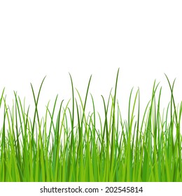 green grass - seamless vector