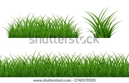 Green Grass Set Border Isolated White Backgroud, Vector Illustration