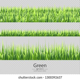 Green grass set collection isolated Vector realistic. Transparent backgrounds