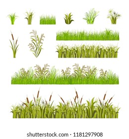 Green Grass Set Decor Elements Isolated on a White Background Natural Border. Vector illustration of Fresh Foliage