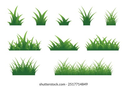 Green grass. Set of grass designs isolated on white background. natural outdoors. Vector illustration.