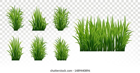 Green grass set. Fresh herb: natural, organic, bio, eco label and shape isolated on white background. Vector illustration.