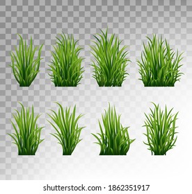 Green grass set. Fresh herb: natural, organic, bio, eco label and shape isolated on white background. Vector illustration.