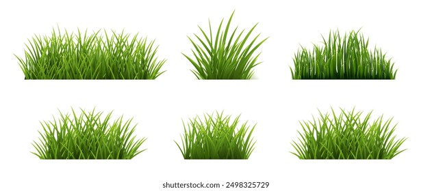 Grünes Grasset einzeln auf Hintergrund mit Farbverlauf-Mesh, Vektorgrafik